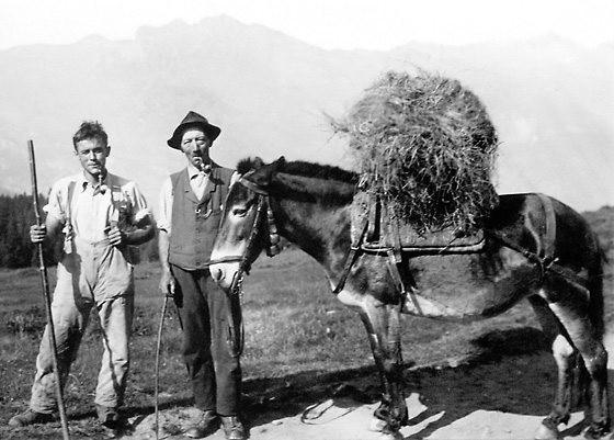 Bohren Adolf und Bleuer Hans, genannt «ds Chrischtis-Peters Adolf und Danielen Hans». Auf der Alp Wärgistal mit ihrem «Baschti», einem Pastesel.